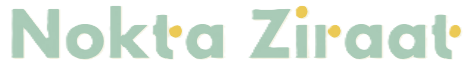 Nokta Ziraat